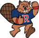 logo Reedsburg